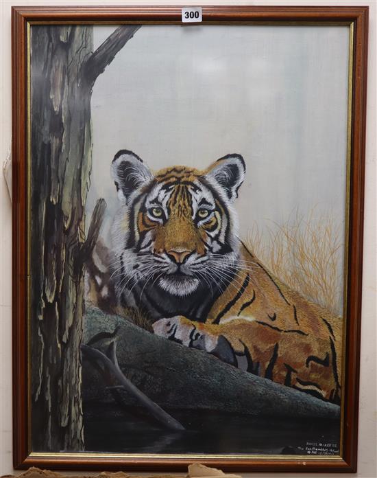 Ranthambore School of Art, oil on silk, Study of a tiger lying on a branch, 1996, signed Sunil Parashar, 69 x 50cm